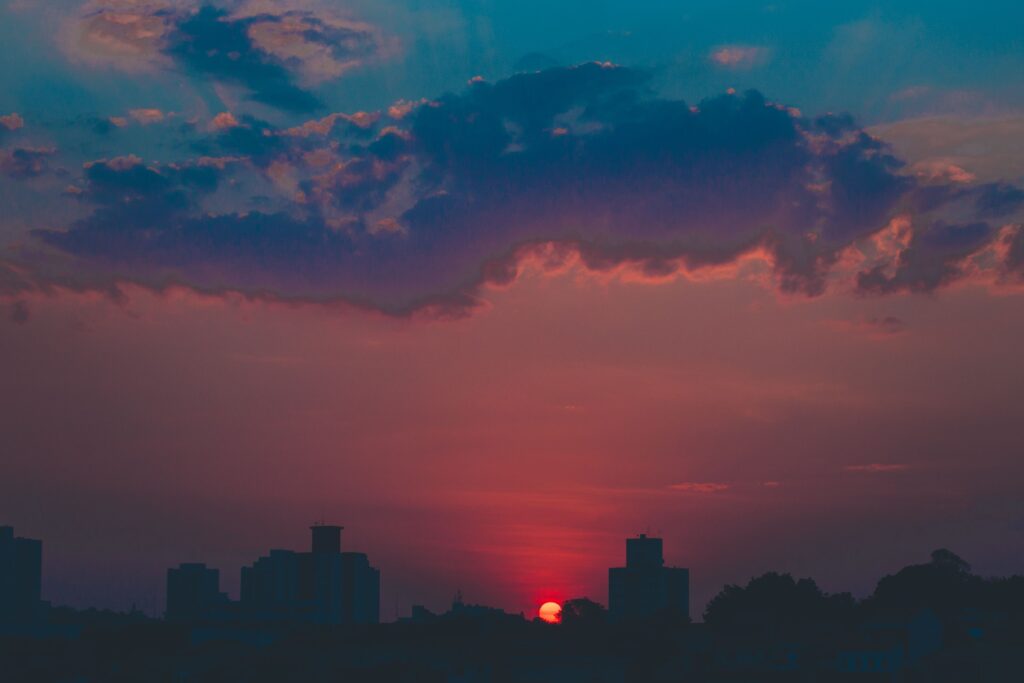 Silhouettes of high rise buildings and lush trees in evening during colorful sundown